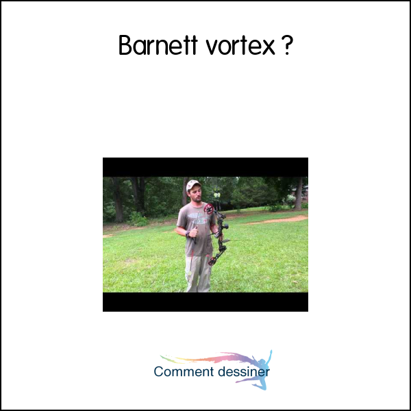 Barnett vortex